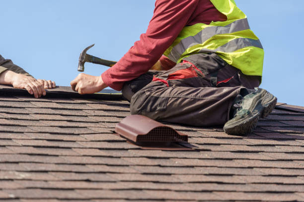 Best Roof Leak Repair  in Sale Creek, TN
