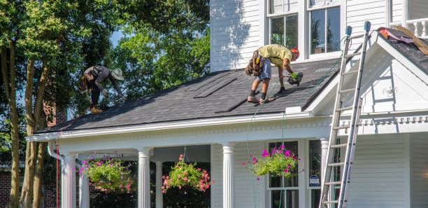 Best Storm Damage Roof Repair  in Sale Creek, TN